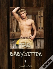 Capa do artigo Babysitter 2