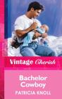 Bachelor Cowboy - Preview