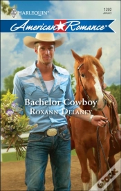 Capa do artigo Bachelor Cowboy
