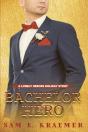 Bachelor Hero - Preview