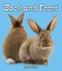 Back And Front - Preview