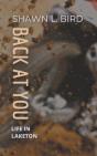 Back At You - Preview