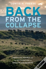 Capa do artigo Back From The Collapse