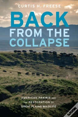 Capa do artigo Back From The Collapse