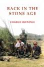 Back In The Stone Age - Preview