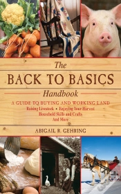 Capa do artigo Back To Basics Handbook