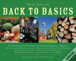 Capa do artigo Back To Basics