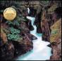 Back to Earth - Vinil - Preview