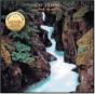 Back to Earth - Vinil - Preview