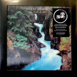 Capa do artigo Back To Earth - Vinil