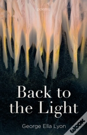 Capa do artigo Back To The Light