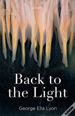 Capa do artigo Back To The Light