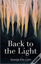Capa do artigo Back To The Light