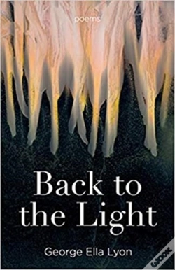 Capa do artigo Back To The Light