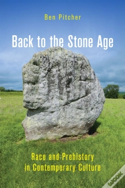 Capa do artigo Back To The Stone Age