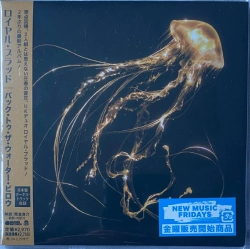Capa do artigo Back To The Water Below - CD
