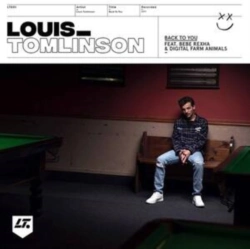 Capa do artigo Back to You (Feat. Bebe Rexha & Digital Farm Animals) - CD
