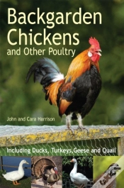 Capa do artigo Backgarden Chickens And Other Poultry