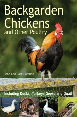 Capa do artigo Backgarden Chickens And Other Poultry