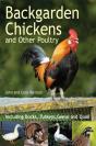 Backgarden Chickens And Other Poultry - Preview