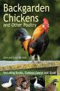 Backgarden Chickens And Other Poultry - Preview