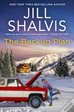 Capa do artigo Backup Plan