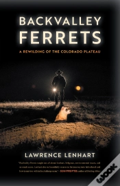 Capa do artigo Backvalley Ferrets