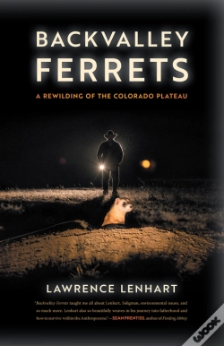 Capa do artigo Backvalley Ferrets