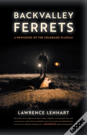 Capa do artigo Backvalley Ferrets