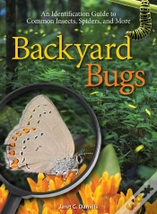 Capa do artigo Backyard Bugs