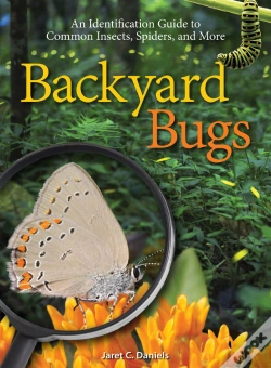 Capa do artigo Backyard Bugs
