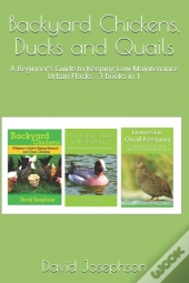 Backyard Chickens, Ducks And Quails