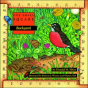 Backyard - Preview