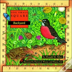 Capa do artigo Backyard