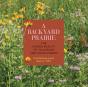 Backyard Prairie - Preview