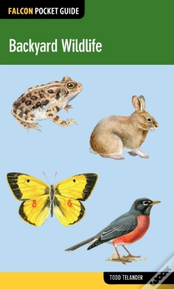Capa do artigo Backyard Wildlife