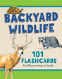 Backyard Wildlife - Preview
