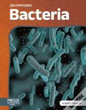 Capa do artigo Bacteria