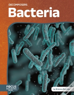 Capa do artigo Bacteria