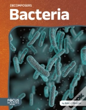 Bacteria