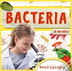 Capa do artigo Bacteria
