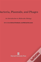 Bacteria, Plasmids, And Phages