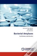 Bacterial Amylases