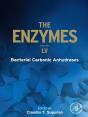 Bacterial Carbonic Anhydrases - Preview