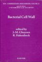 Bacterial Cell Wall - Preview