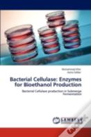 Bacterial Cellulase