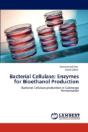 Bacterial Cellulase - Preview