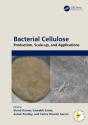 Bacterial Cellulose - Preview