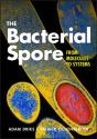 Bacterial Spore - Preview