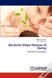 Bacterial Stripe Disease Of Barley